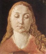 Albrecht Durer Portrait of a woman with Loose Hair china oil painting artist